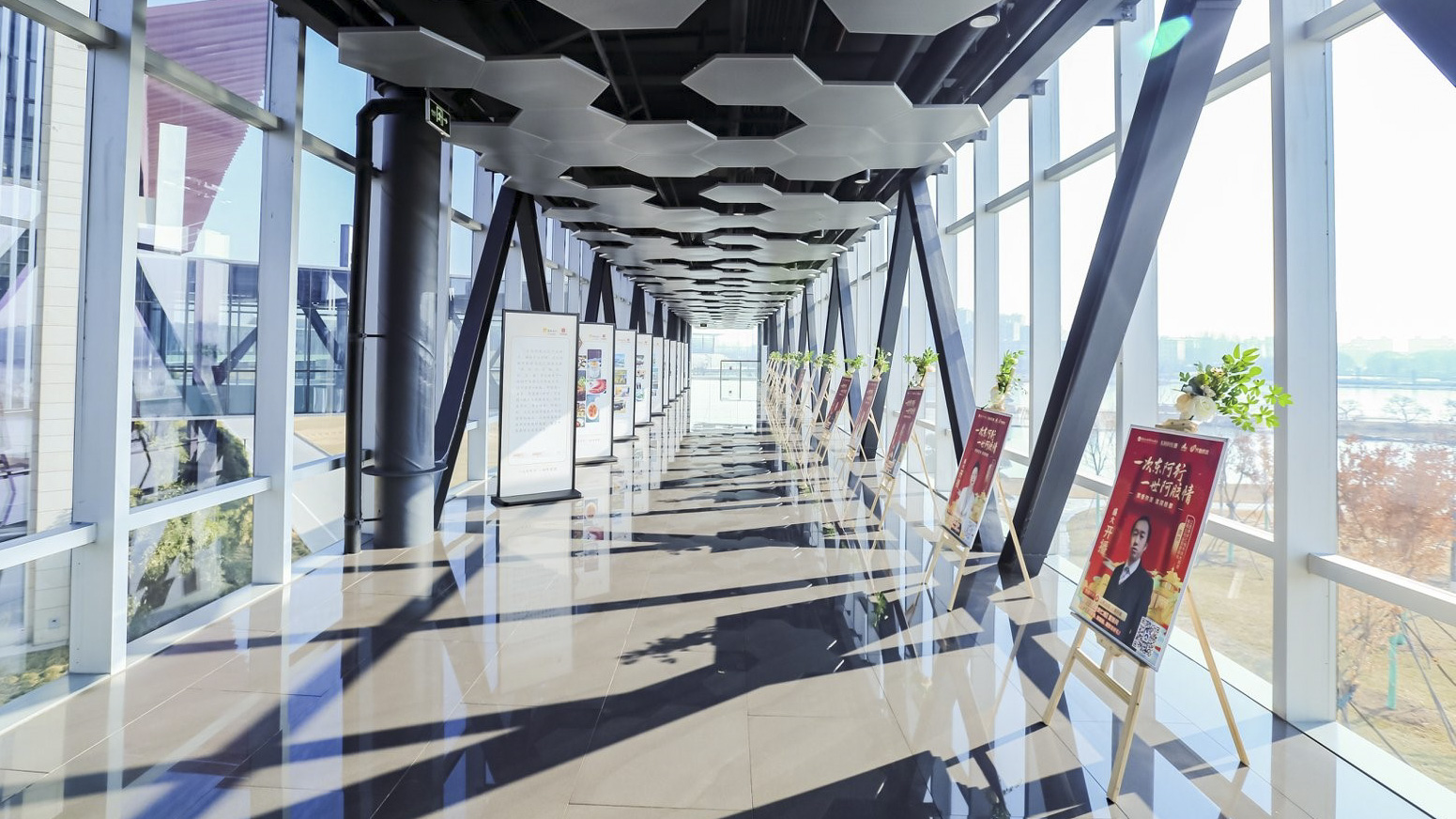 阿胶世界走廊展板