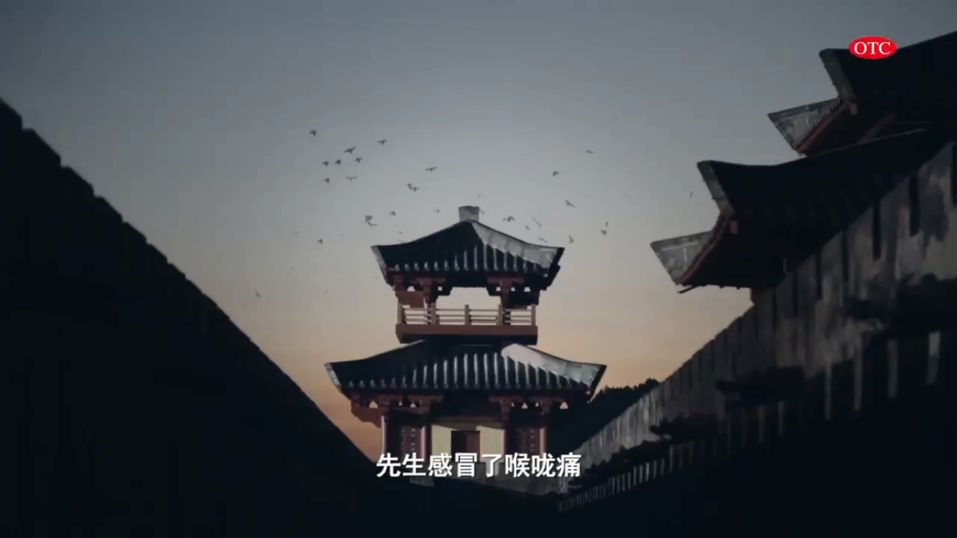 金笛广告片截图3