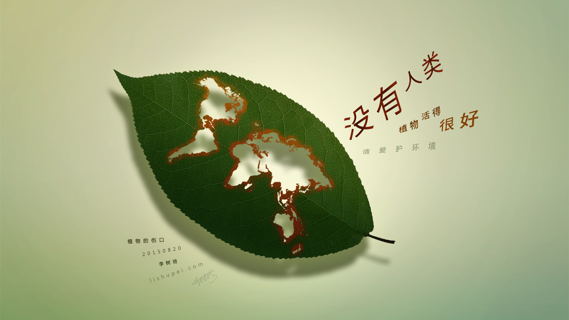 植物的伤口