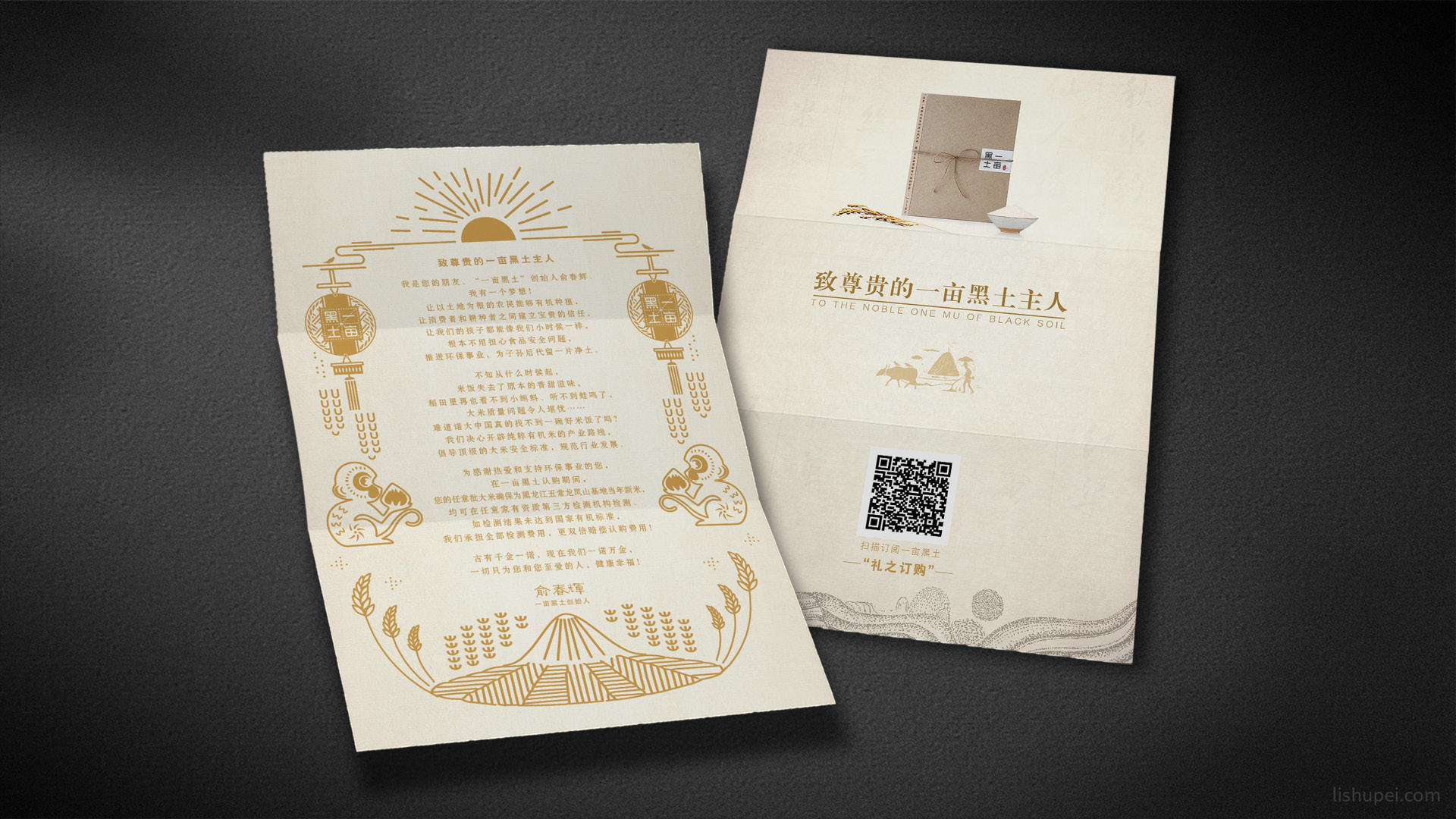 客户函信纸效果图